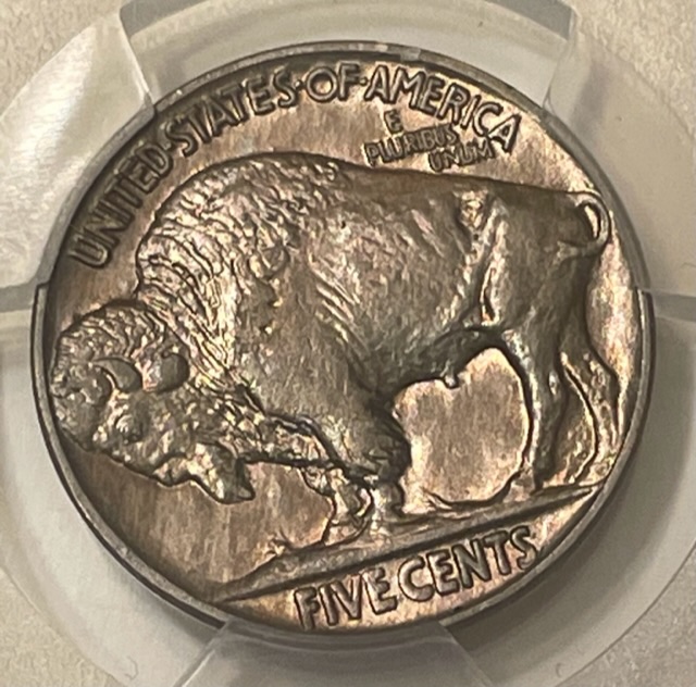 1913-P-Buffalo-Nickel-Type-2-DDR-001-FS-1801
