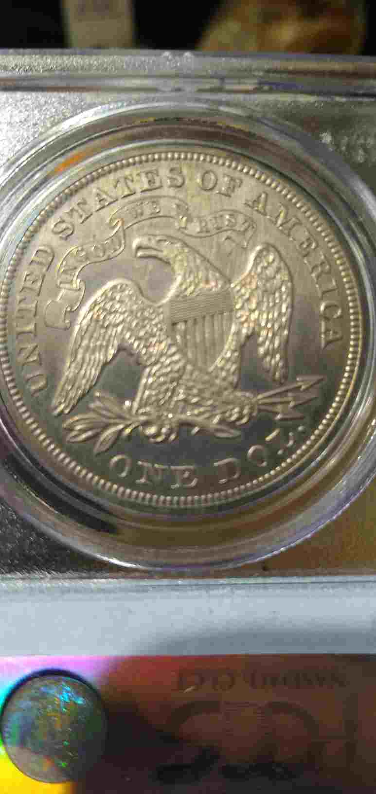Guess-The-Grade-*seated-Dollar*