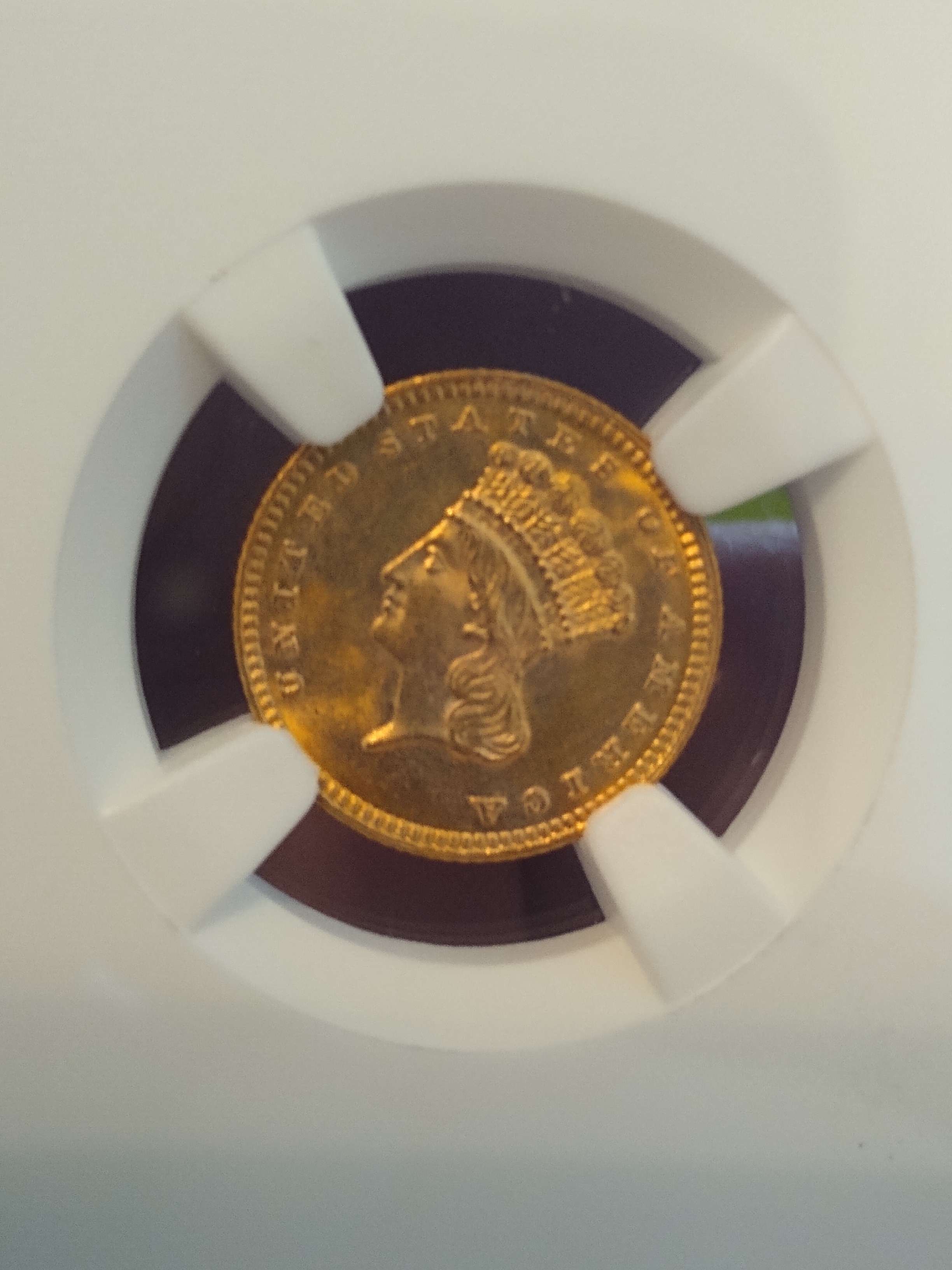 Guess-The-Grade-1887-$1-Gold