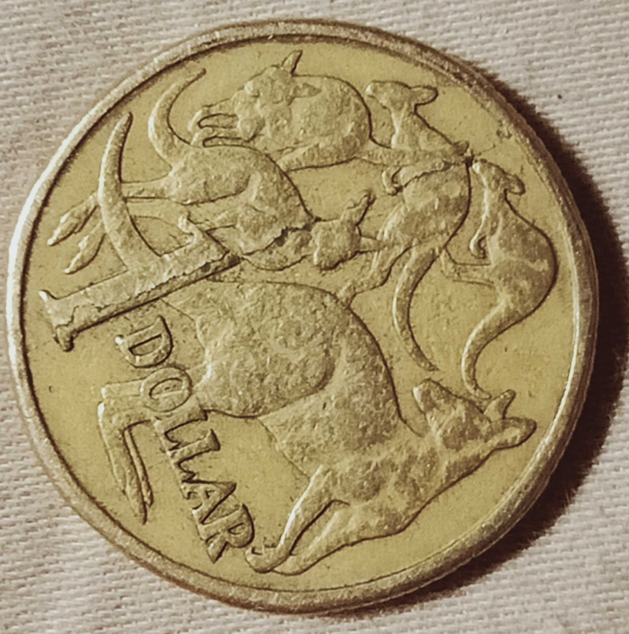 1985-1-Dollar-Mob-Of-Roos-,-Rare-Error?
