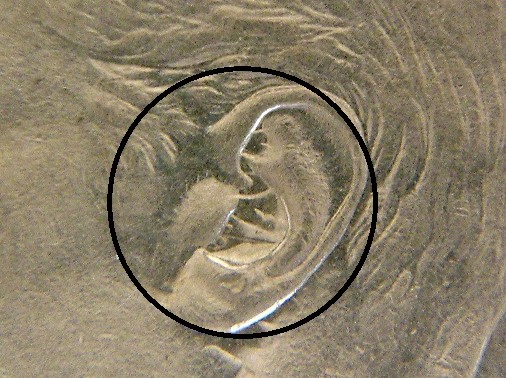 1950-Canada-50-Cent-Extra-Metal-In-King-George-Ear?