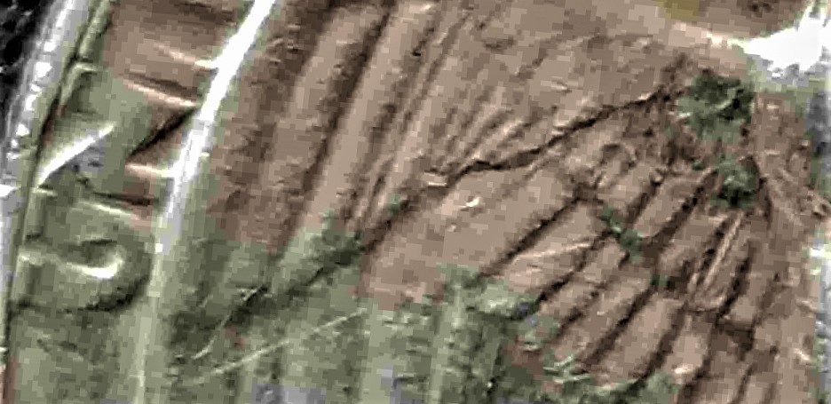 1972-D-Washington-Quarter,--Thread-Perhaps-On-Eagles-Right-Wing