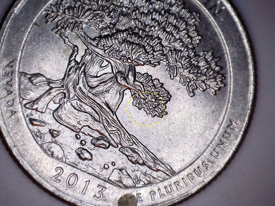 End-Of-Year-Quarter-Finds