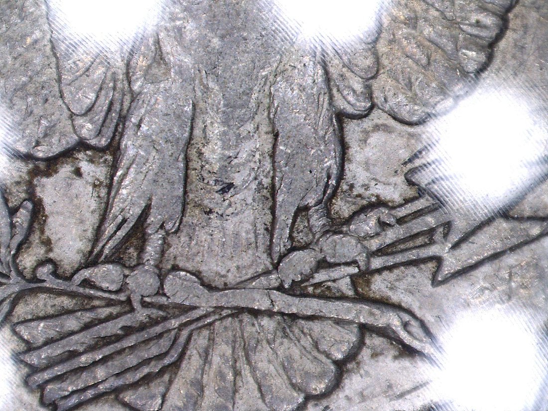 Need-Help-With-This-1888-S