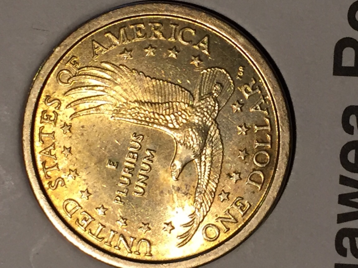 2000-P-Sacagawea-Dollar-Coins-Info