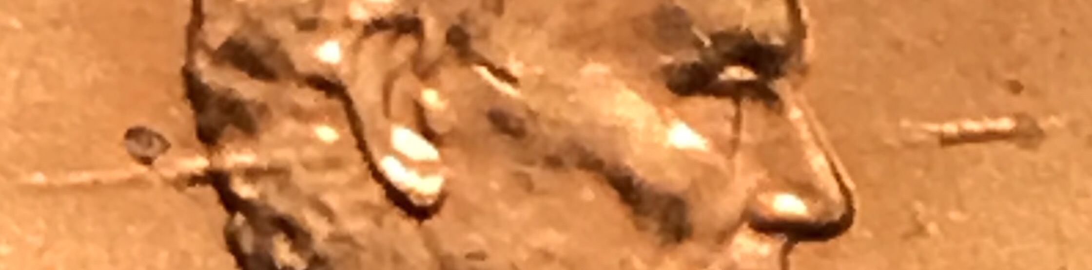 2016-Lincoln-Penny-Head-Speared