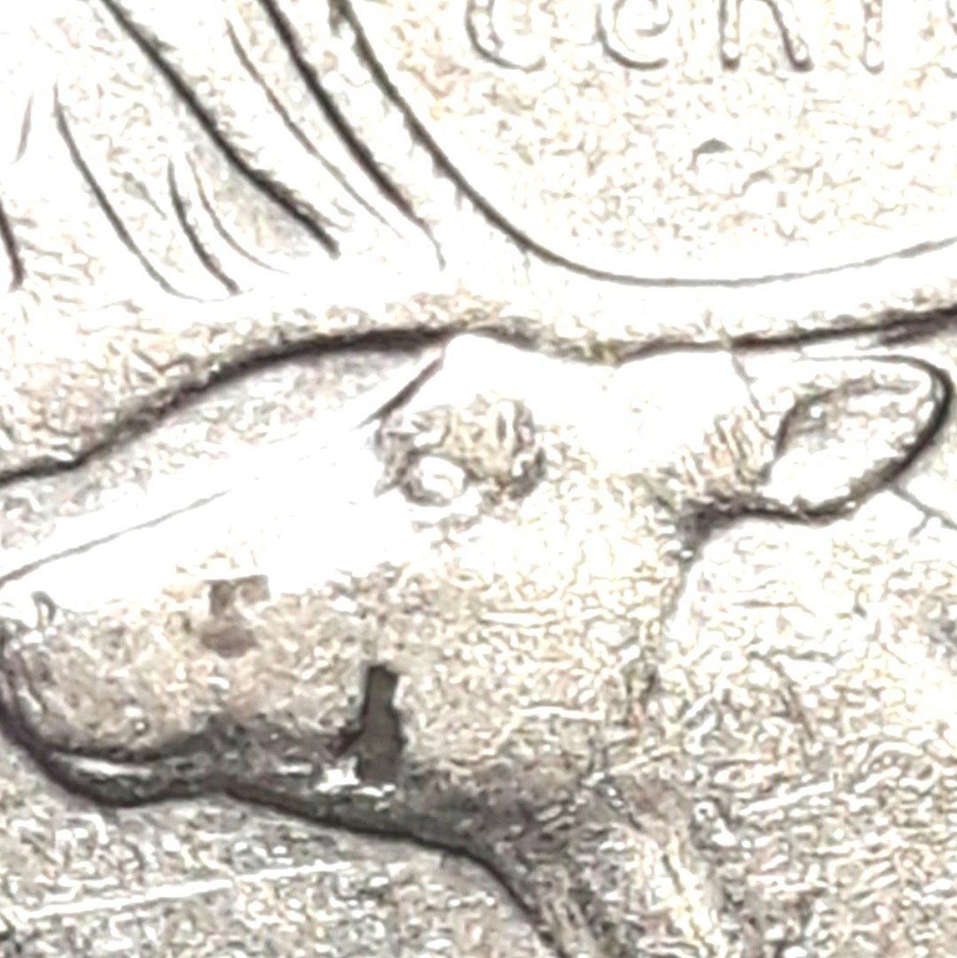 1979-Quarter-Looks-To-Be-A-Rusted-Hole-Or-Crevice-In-The-Moose's-Face