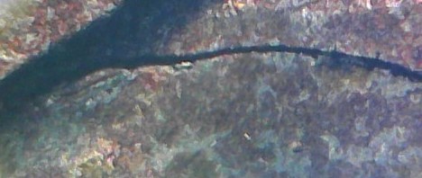 1954-Washington-Quarter-Possible-Error