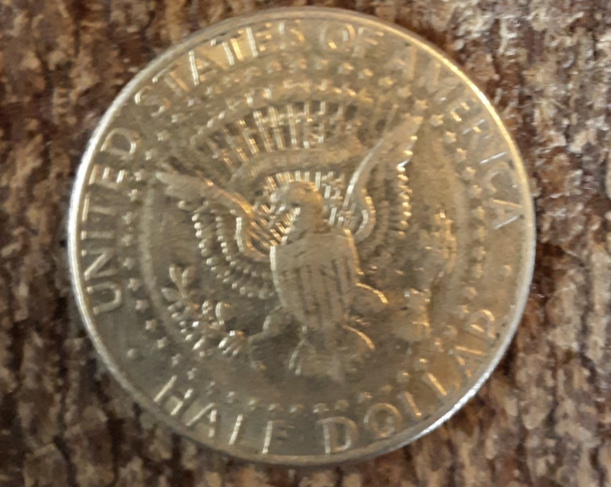 Half-Dollar-Missing-Rim-?