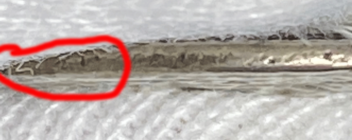 Caracalla-Denarius---Authentic-Or-Fake?