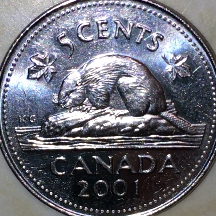 2001-P-5-Cent-Bare-Belly?
