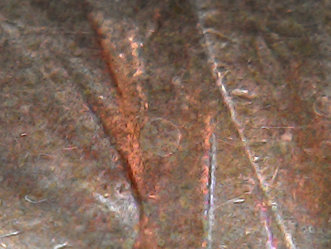 1987-Lincoln-Cent,-Buttons?-Or-More-Random-