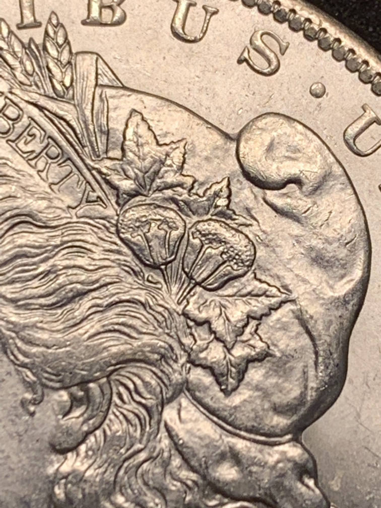 1904-O-Morgan-Please-Grade
