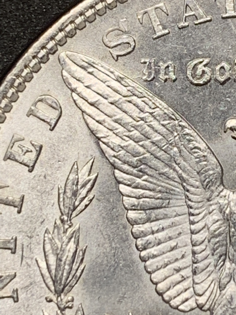 1904-O-Morgan-Please-Grade