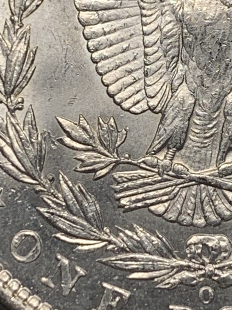 1904-O-Morgan-Please-Grade