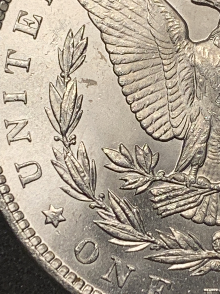 1882-CC-Please-Grade