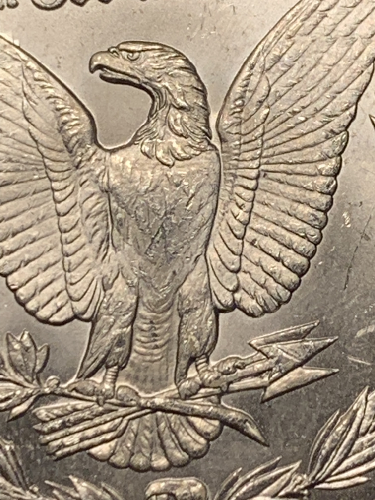 1882-CC-Please-Grade