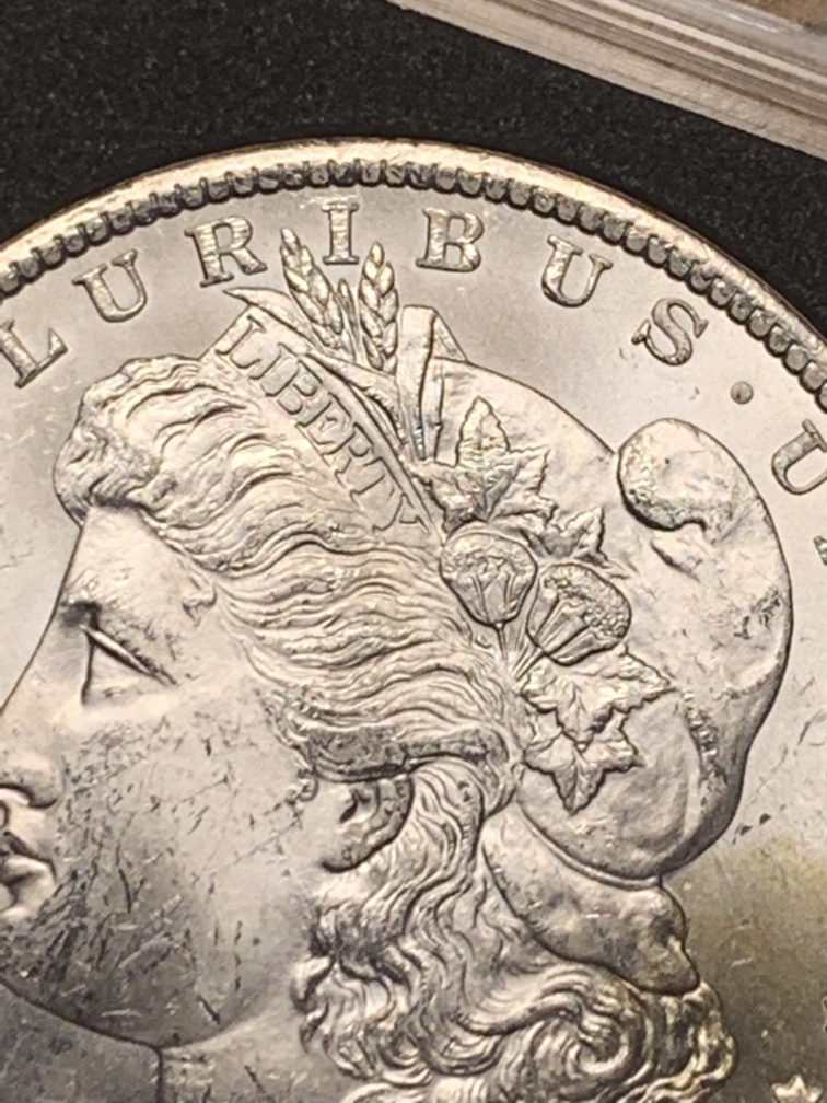 1882-CC-Please-Grade