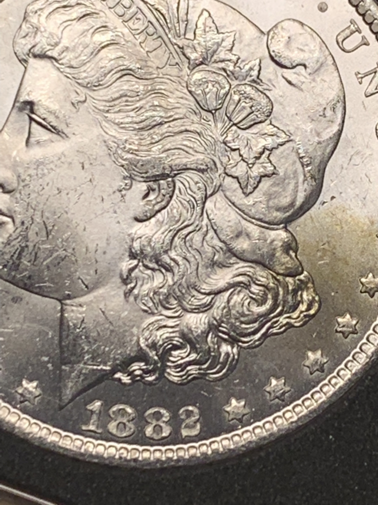 1882-CC-Please-Grade