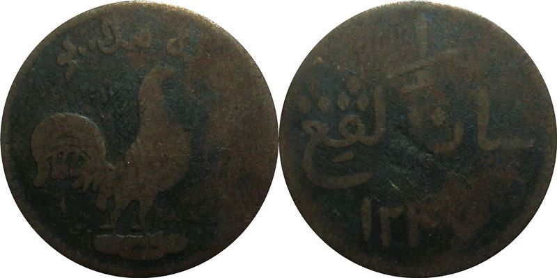 Post-Your-Coins-Representing-The-Animal-Kingdom.
