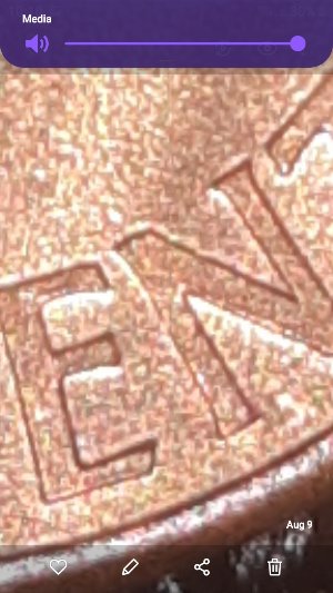 1995-P-LMC-Possible-Errors?
