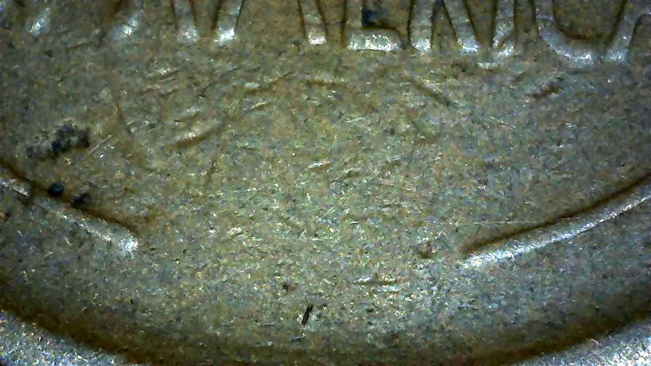 1909-VDB-Or-Just-Regular-1909