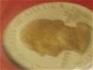 2000-State-Quarter-Error