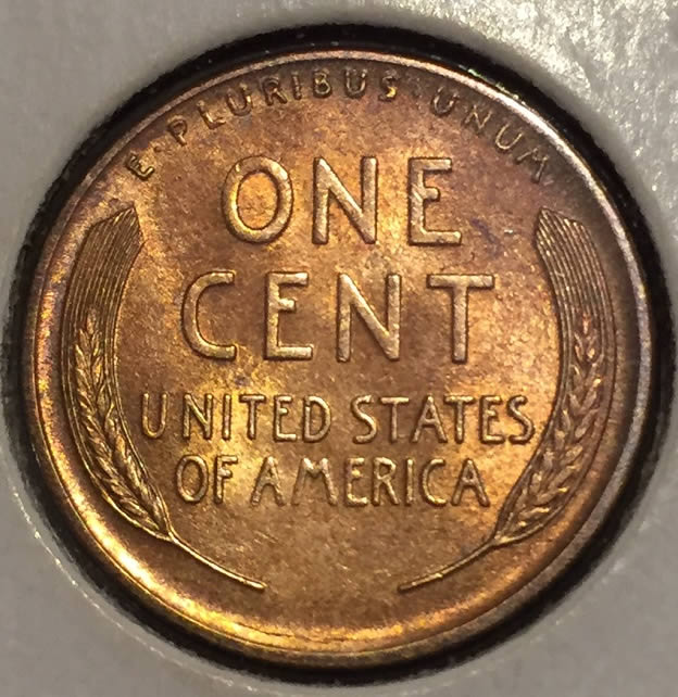 1910-S-Lincoln-Wheat-Cent-For-Grading