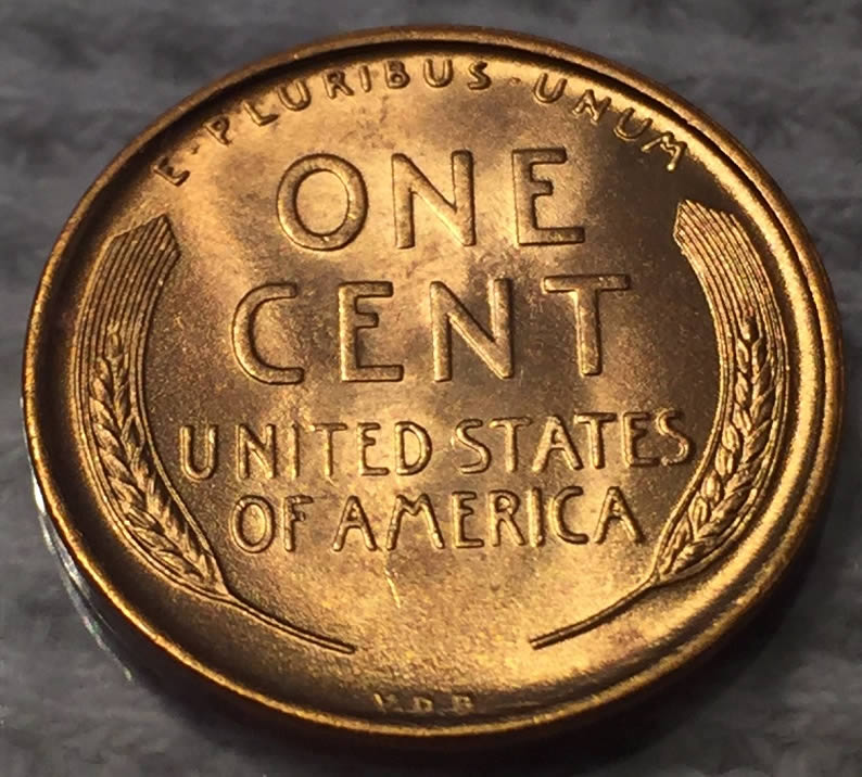 1909-VDB-Lincoln-Cent-For-Grading!