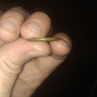 Need-Help-Identifying-Possible-Error-On-1975-LMC