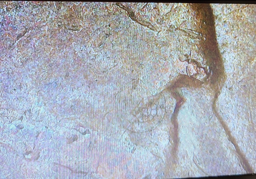 What-Error-Is-On-This-1969-S-Lincoln-Cent?