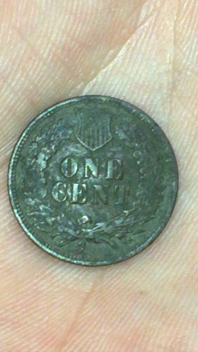 1899-Indian-Head-Cent-Interesting-Coin