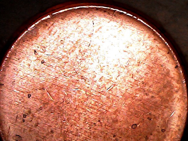 Who-Has-Found-2020-Cent-Error-Coins?