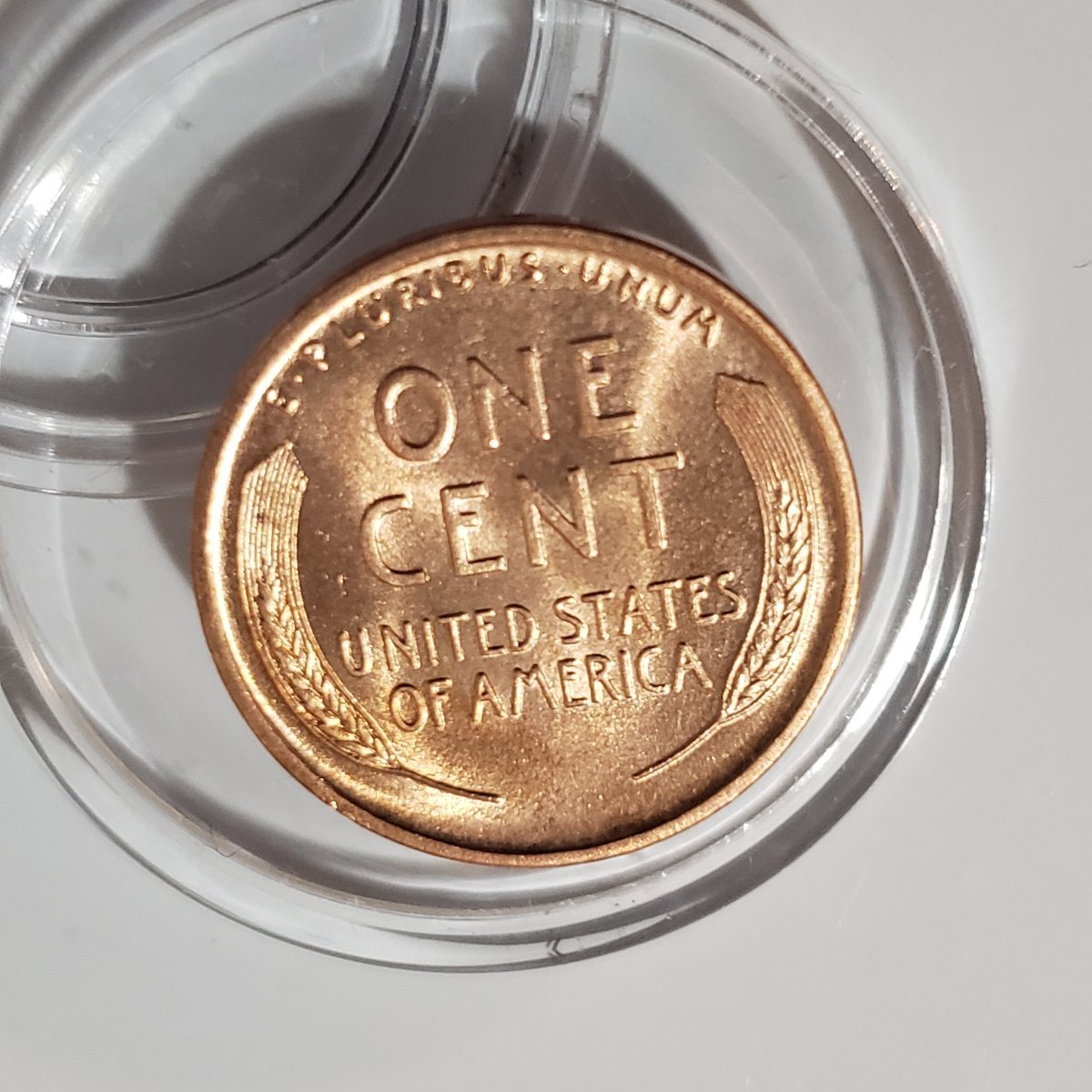 1909-P-Lincoln-Wheat-Cent,-Grade?