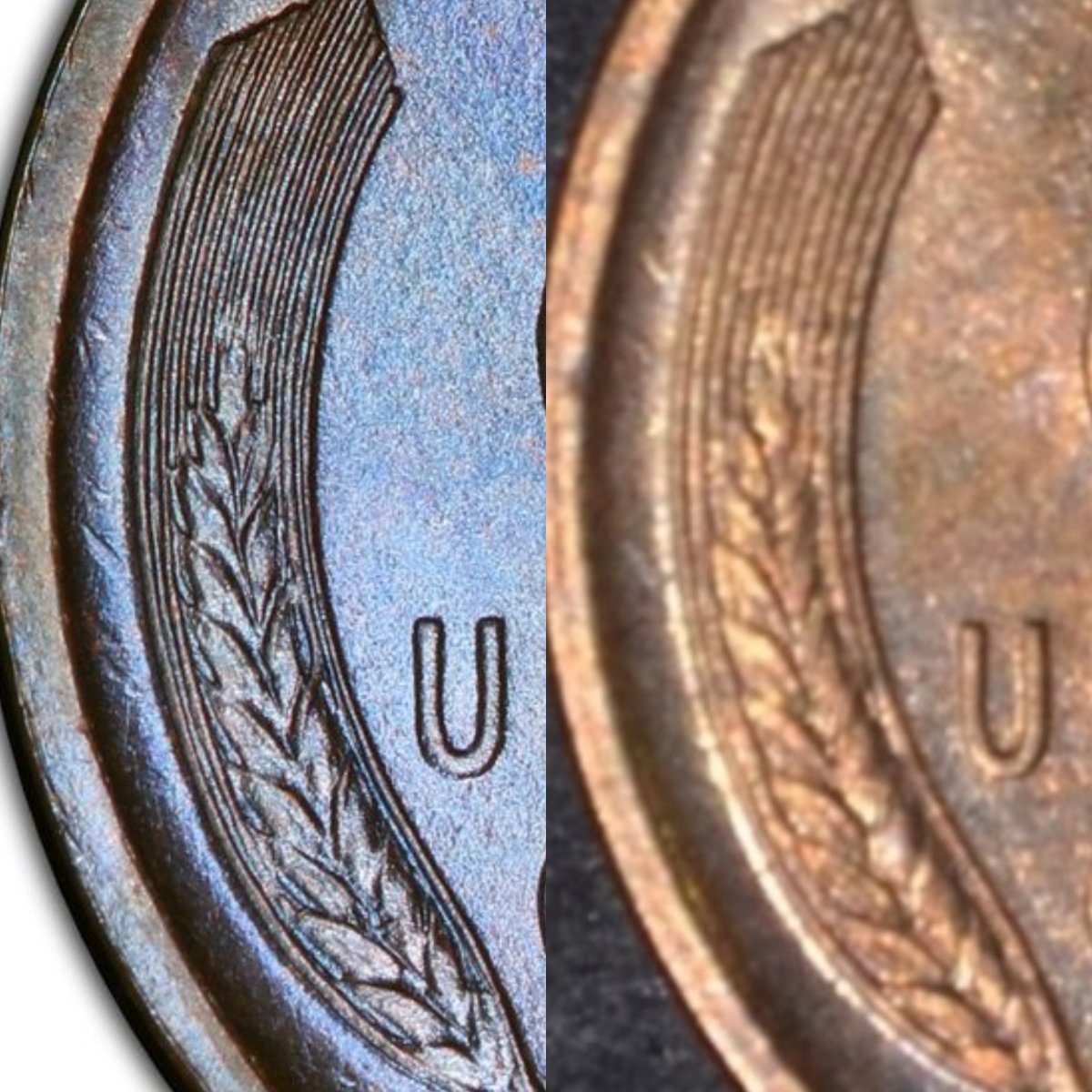 1909-Lincoln-Wheat-Cent,-Grade-Opinions?