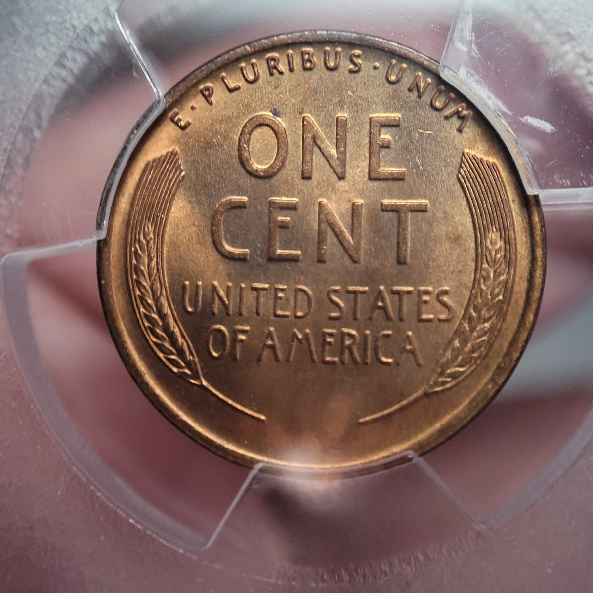 1927-LWC,-You-Vs.-PCGS