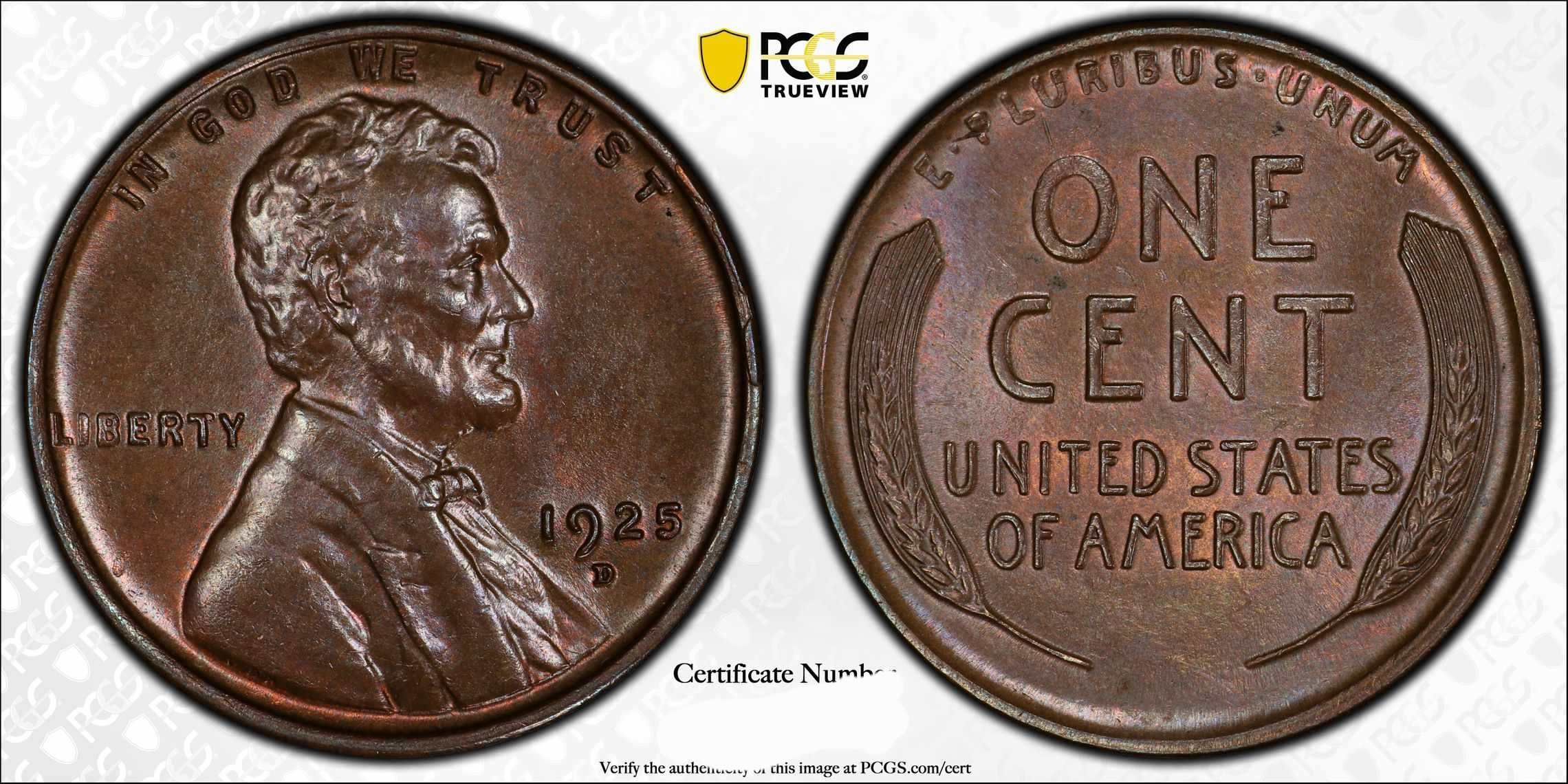 1925-D-Lincoln-Cent,-You-Vs-PCGS.