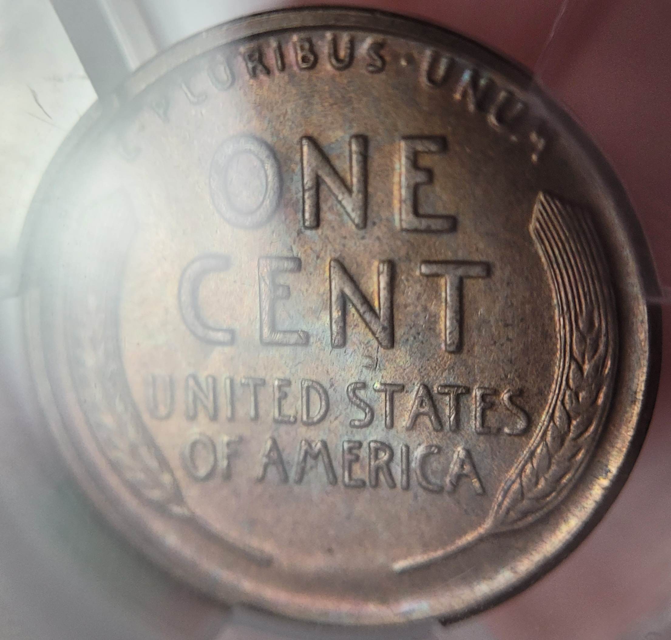 1923--S-Lincoln-Cent,-You-Vs.-PCGS