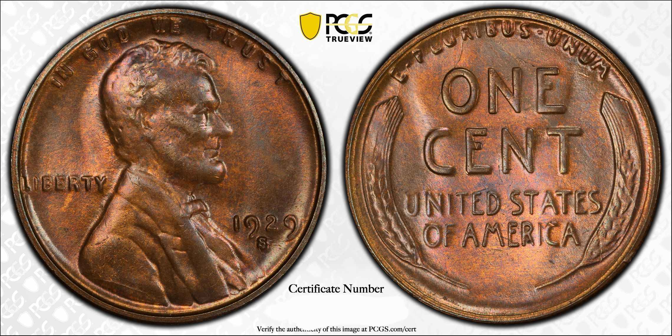 1929-S-Lincoln-Cent,-You-Vs-PCGS