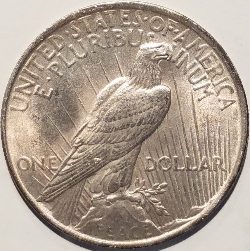 #-31-Of-My-Silver-Dollar-Collection-For--Grading-1923-P-Peace