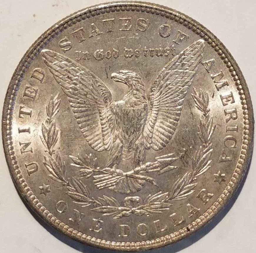 #-33-Of-My-Silver-Dollar-Collection-For--Grading-1882-P-Morgan