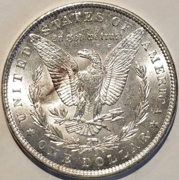 #-35-Of-My-Silver-Dollar-Collection-For--Grading-1896-P-Morgan