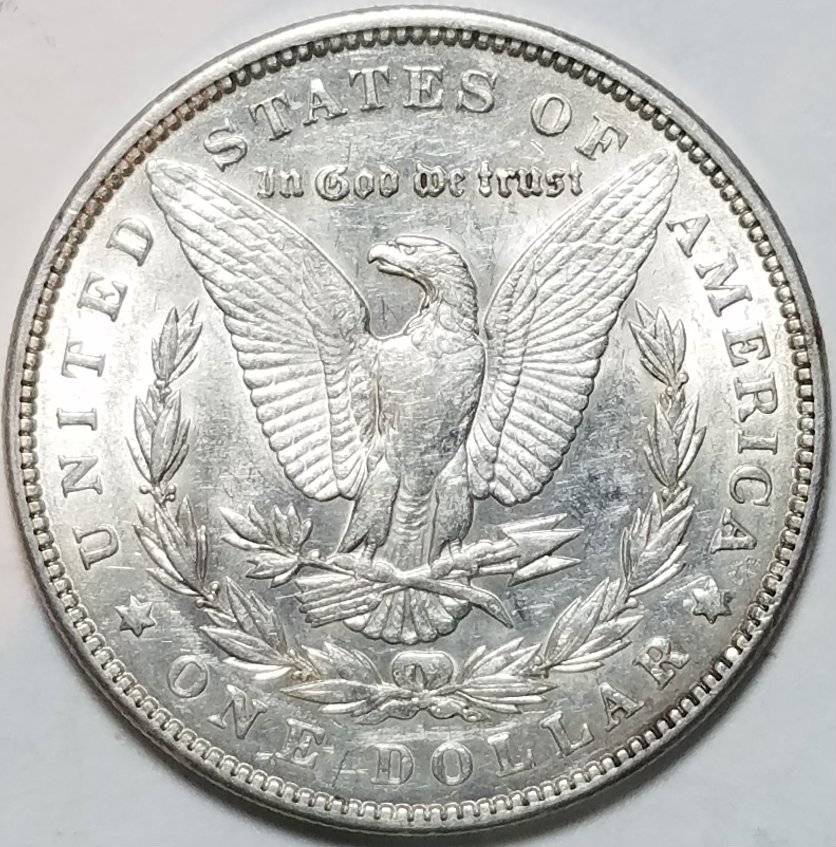#-38-Of-My-Silver-Dollar-Collection-For--Grading-1888-P-Morgan