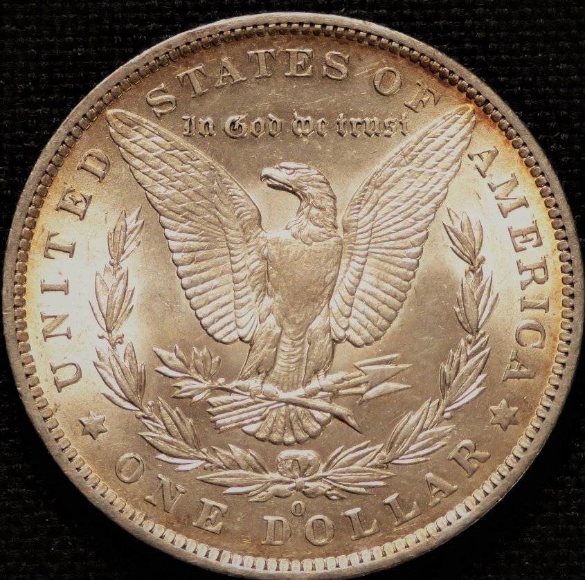 #117--1884-O-Morgan-For-Grading-And-Opinions