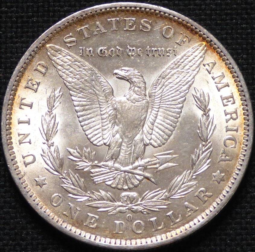 #117--1884-O-Morgan-For-Grading-And-Opinions