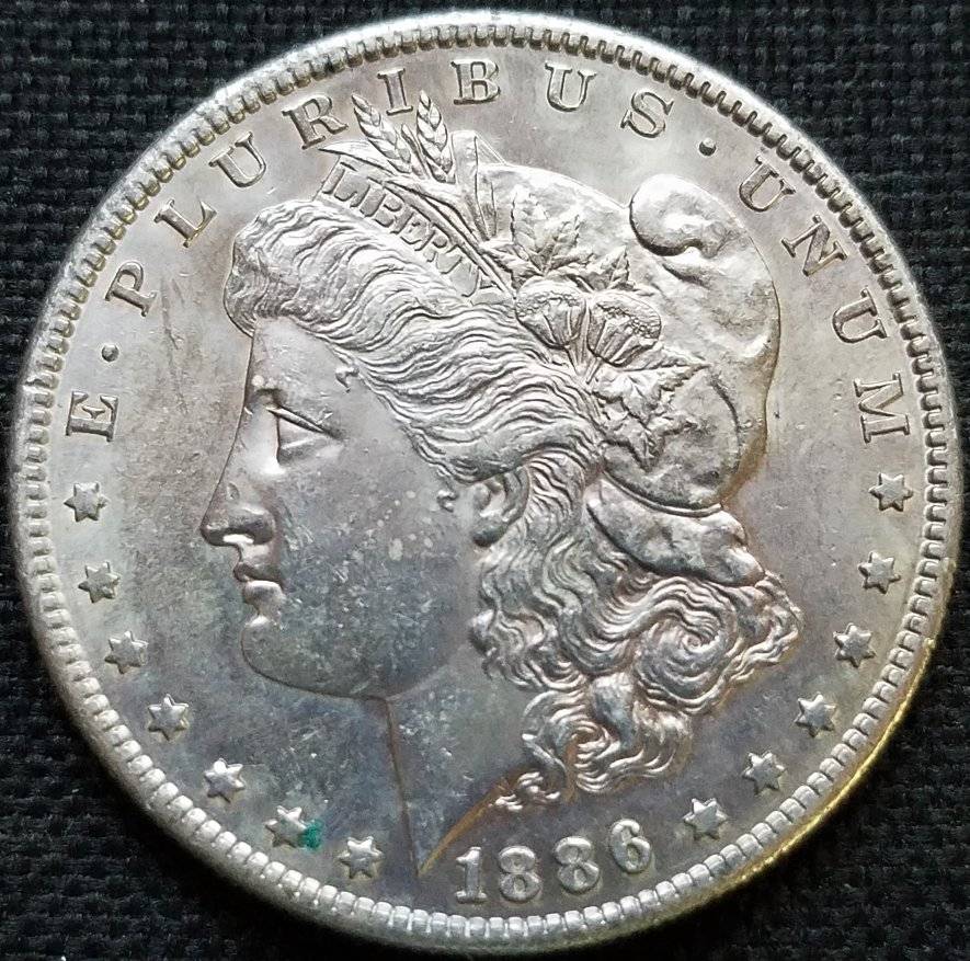 #124---1886-S-Morgan-Dollar-For-Grading-And-Opinions