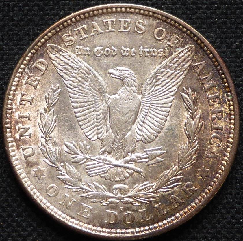 #127---1921-D-Morgan-For-Grading-And-Opinions