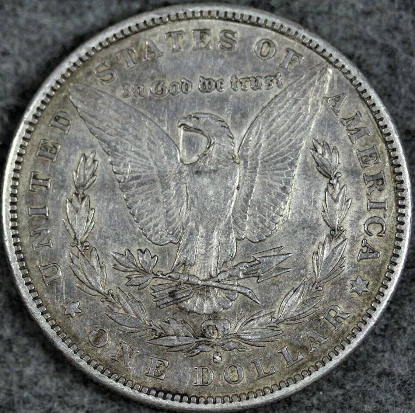 Presenting-A-Morgan-1883-S-For-Opinions