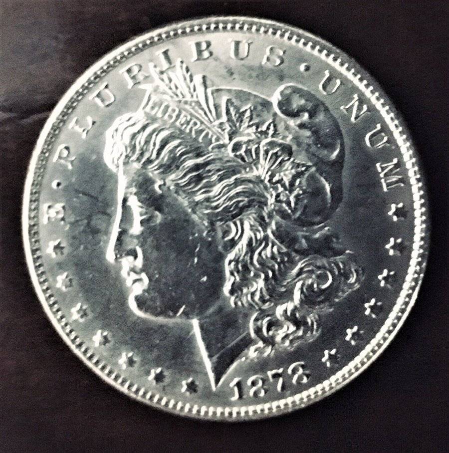 A-Tale-Of-Six-1878-8-Tail-Feather-Morgan-Dollars-Sold-At-Ebay-2-Weeks-Ago.
