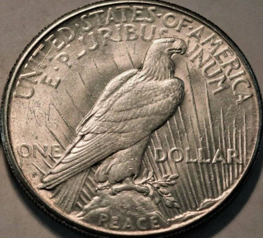 Help-Me-Decide-Whether-Or-Not-To-Bid-On-These-1924-And-1925-Peace-Dollars